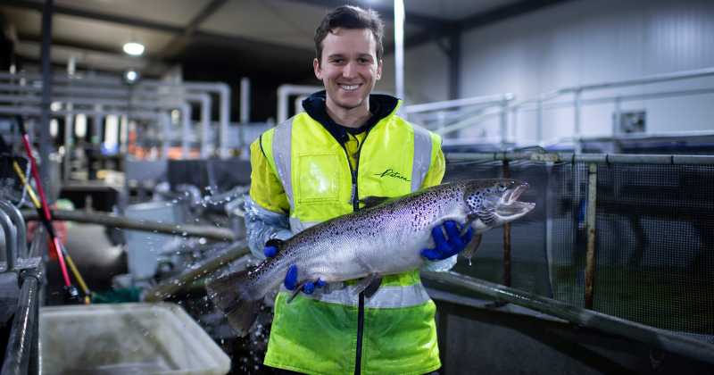 Breeding fish to better withstand climate change