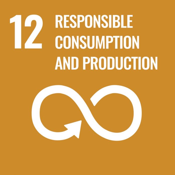 SDG 12 - Responsible consumption and Production