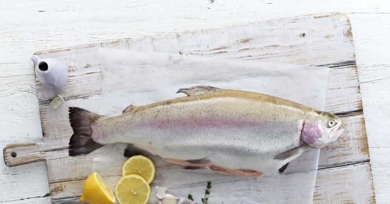 Petuna Ocean Trout Continues To Shine, Winning Gold.